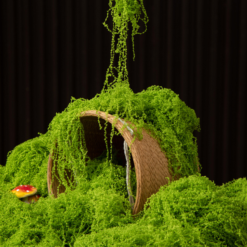 Sphagnum Moss Dry - 200 グラム永遠の命苔 DIY 工芸品草人工緑植物ホームルーム庭の装飾ミニ風景フェイク草盆栽