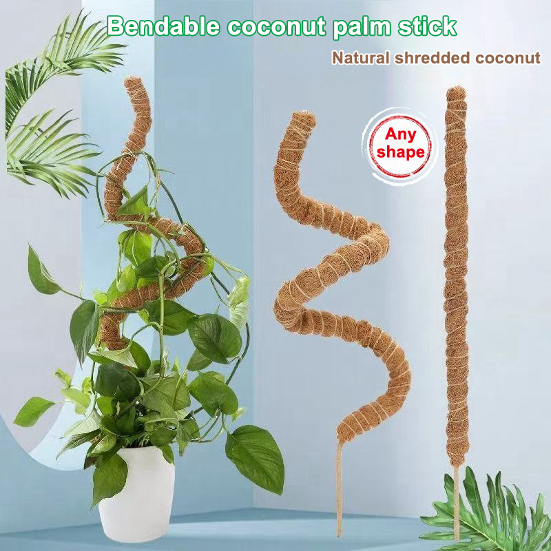 Sphagnum Moss Dry - 1個入り モス棒 植物用 モンステラ用 曲げられるつる性植物支柱 室内用