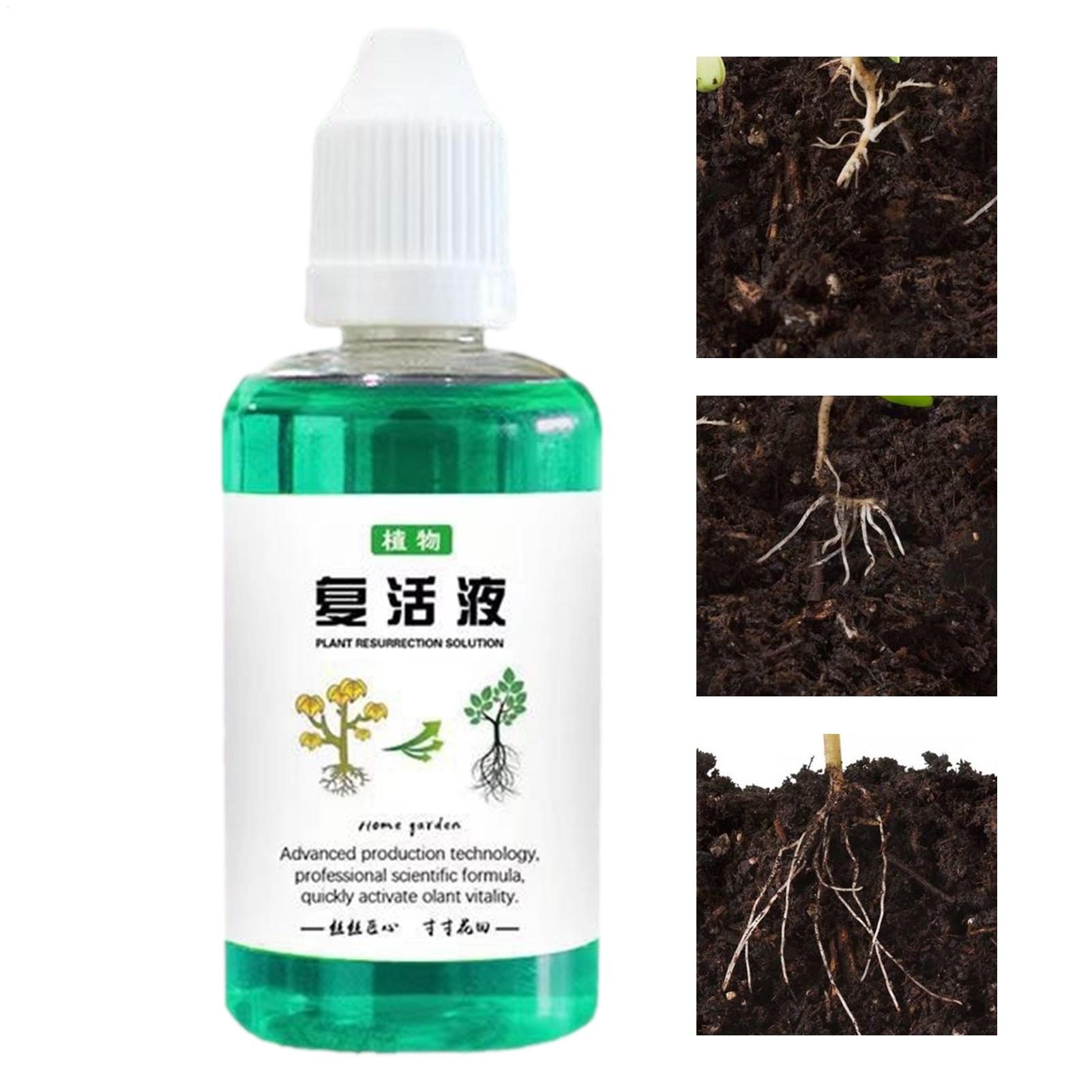 Root Stimulator Liquid - 植物用根刺激剤 50ml 植物成長促進剤 多肉植物根ブースター 屋内植物肥料 植物栄養液
