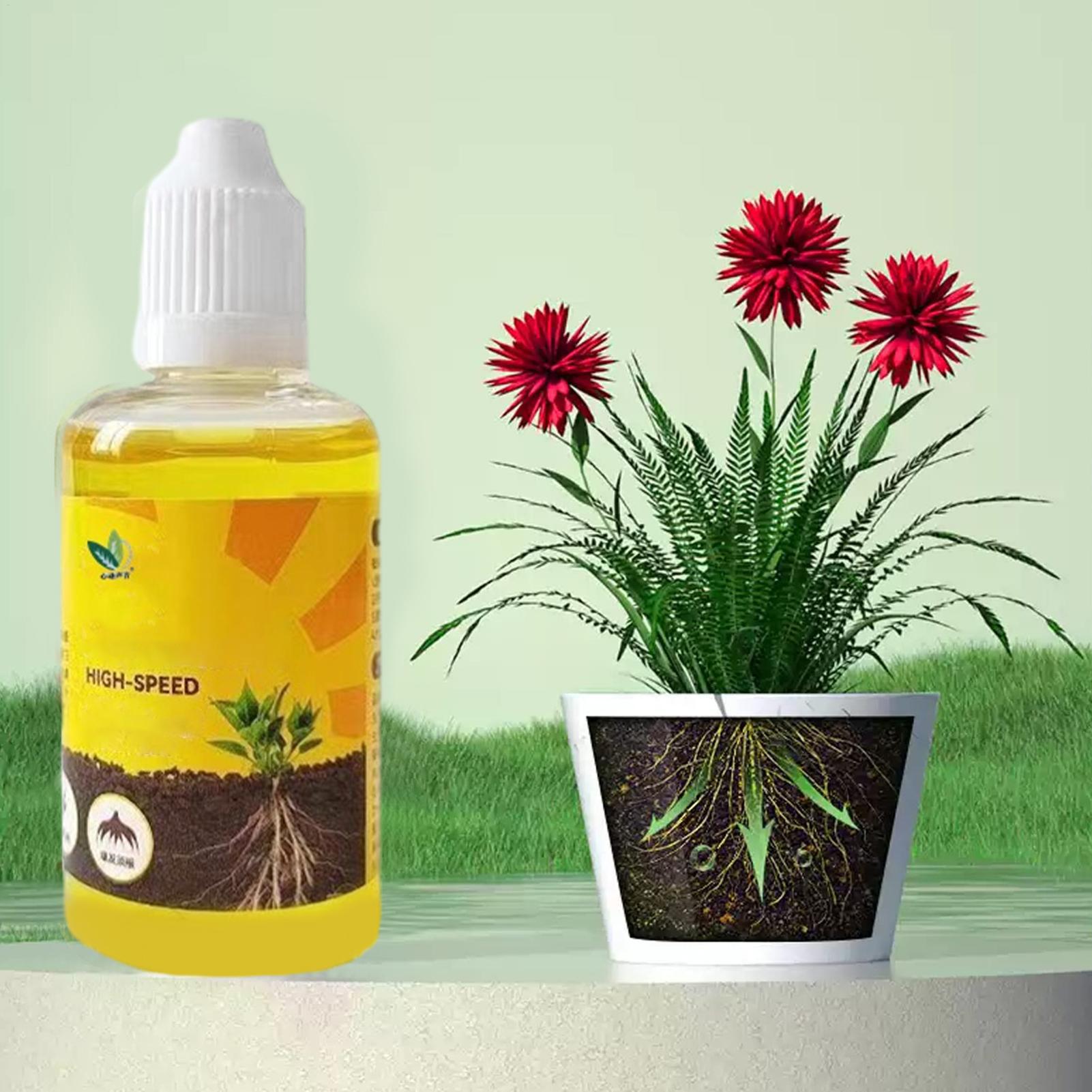 Root Stimulator Liquid - 植物急速発根ソリューション 50ml 栄養豊富なフォーミュラ 発根促進剤 果樹用園芸液体発根肥料