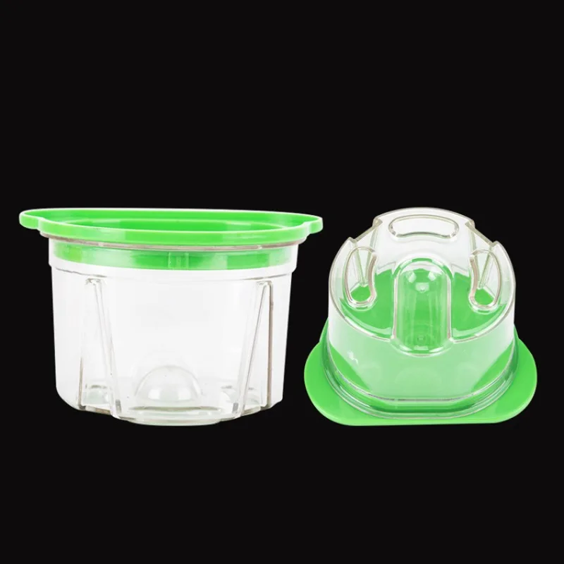 Agar Tissue Culture - 4個入り歯科用プラスチックアガーボックス義歯複製フラスコモデルボックス実験材料歯科用品プラスチックフラスコ