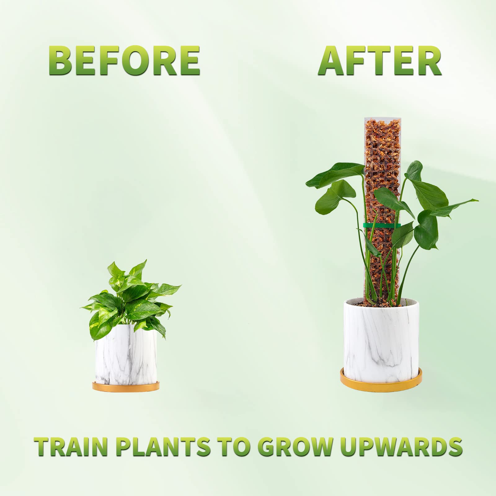苔ポール植物植物サポートプラスチック透明再利用可能な屋内鉢植 - Sphagnum Moss Dry のレビューと価格