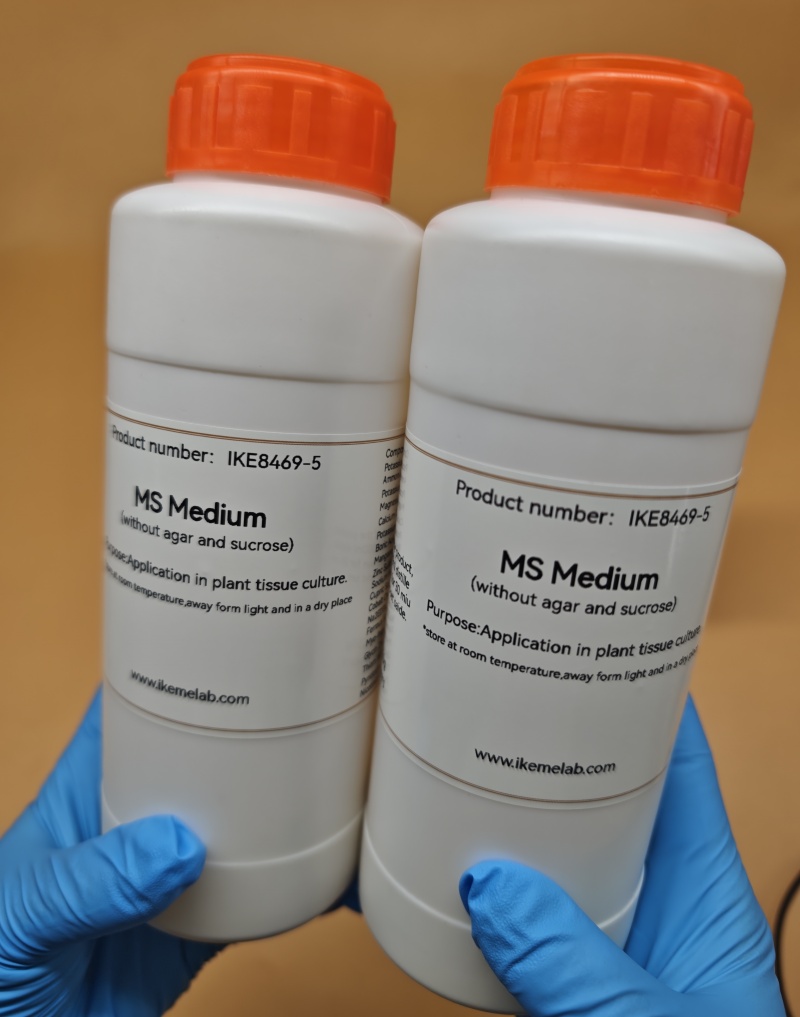 Ikeme-lab ms培養物,250g,ハーブと砂糖を含ま - Agar Tissue Culture のレビューと価格