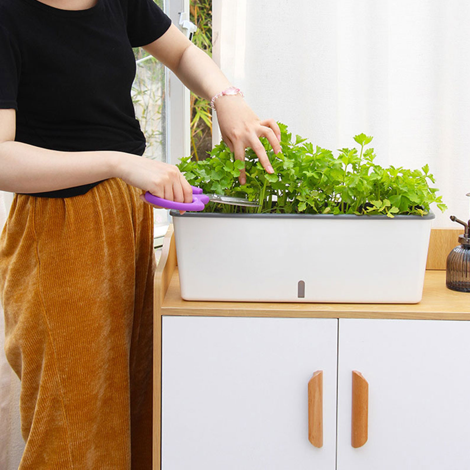 自動給水プランターポット 便利な水位インジケーター付き 友人 - Self Watering Insert のレビューと価格