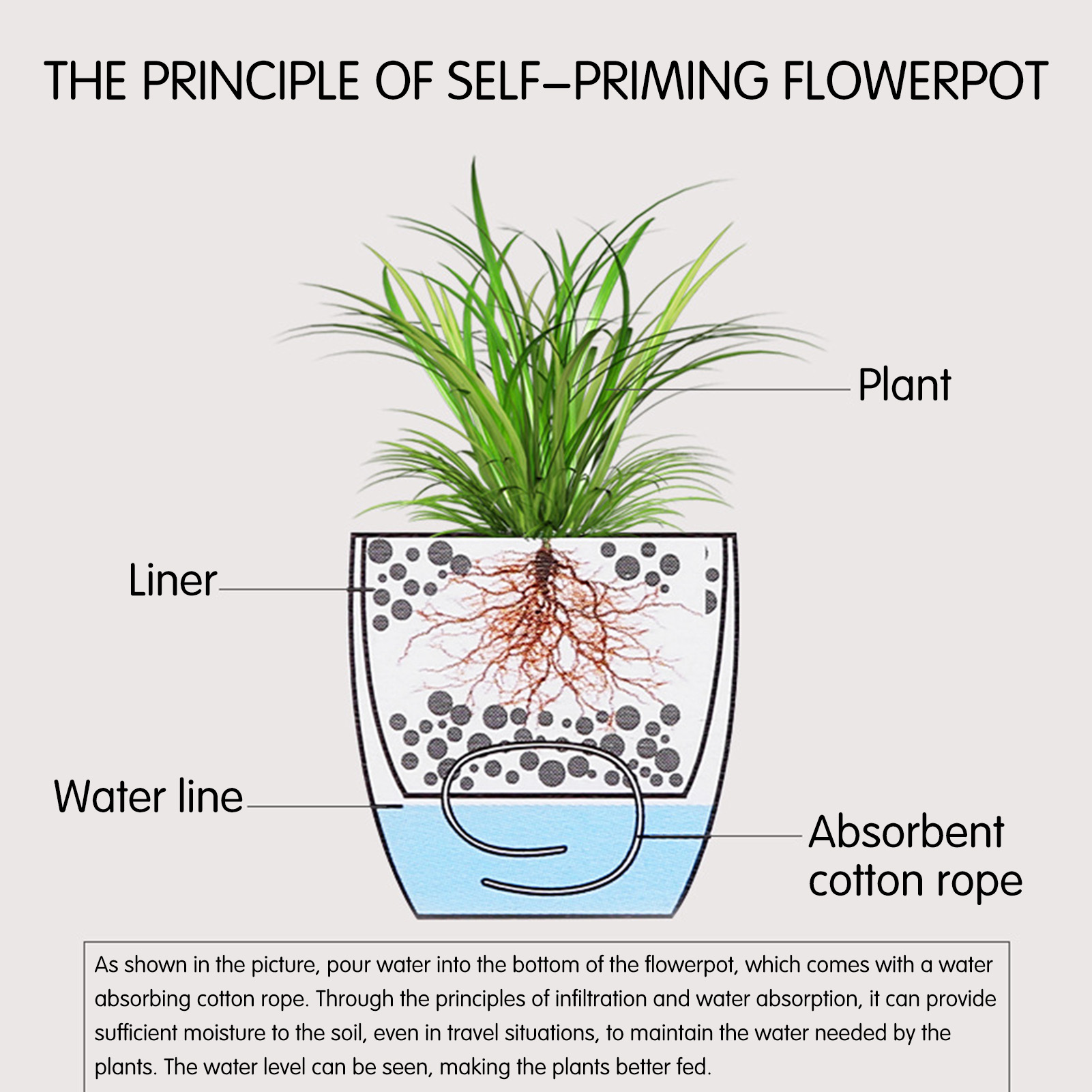 自動自己散水花植物ポット園芸フラワーポットリビングルームの装 - Self Watering Insert のレビューと価格