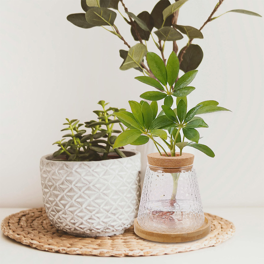 2個入りガラス製水耕栽培花瓶、火山型カップ繁殖ステーション、 - Propagation Station Vase のレビューと価格