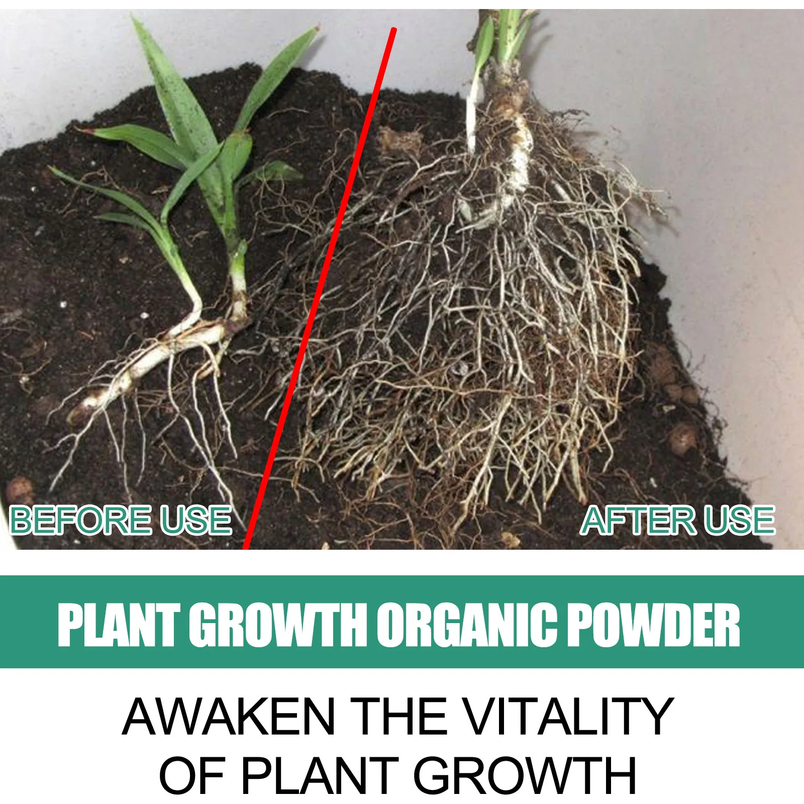 高速発根粉末植物土壌改善緩め植物の成長を促進水耕栽培家庭菜園 - Rooting Hormone Powder のレビューと価格