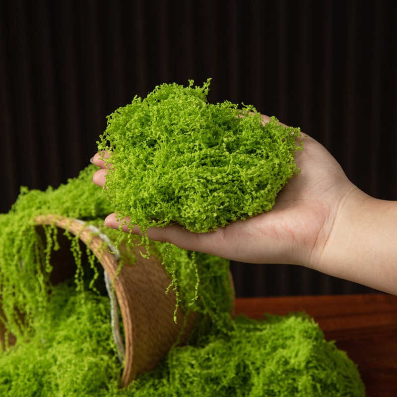 200 グラム永遠の命苔 DIY 工芸品草人工緑植物ホームル - Sphagnum Moss Dry のレビューと価格