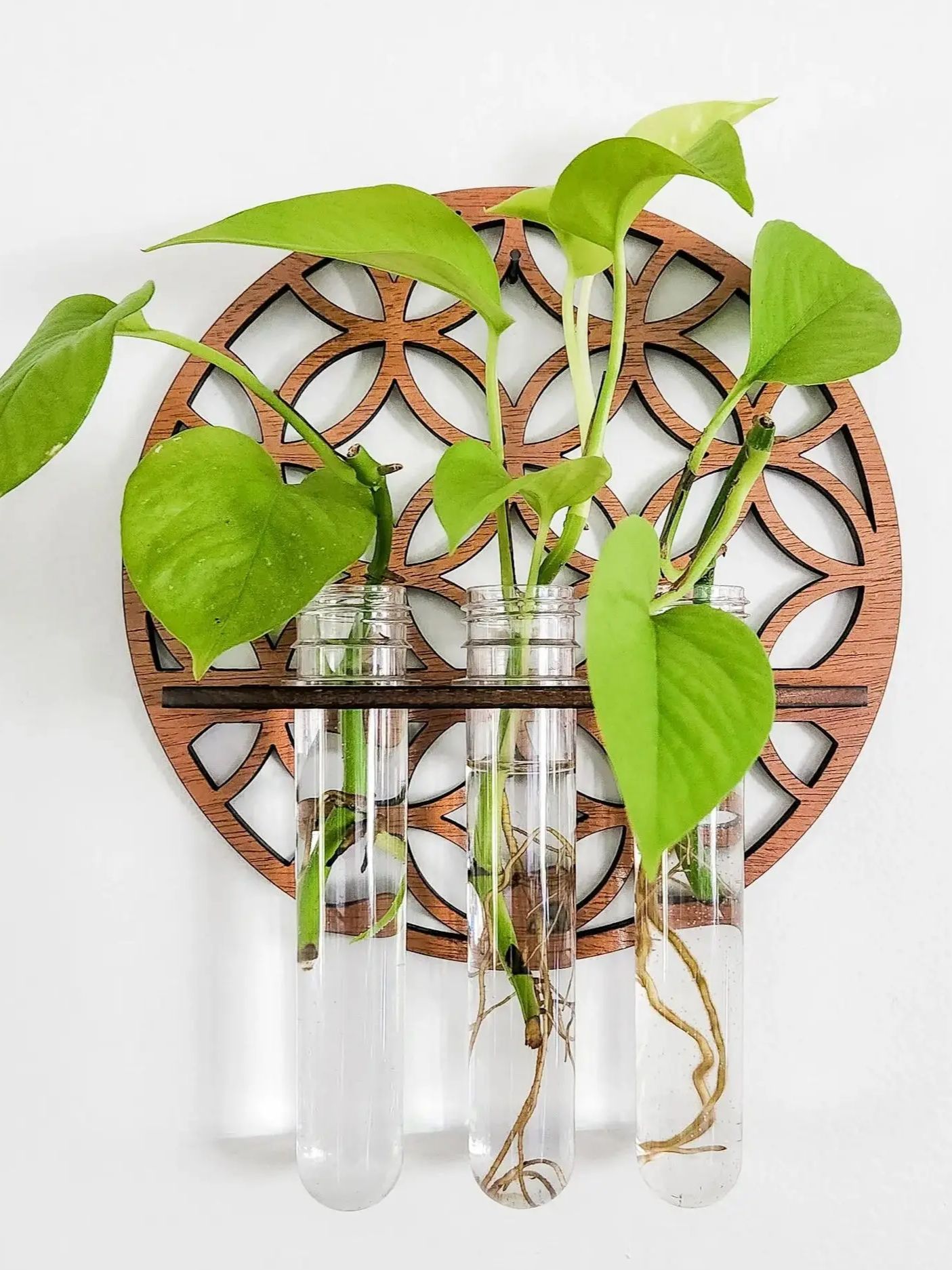 庭の壁プランター屋内木製サークルプラントハンガー壁掛け花瓶ラ - Propagation Station Vase のレビューと価格