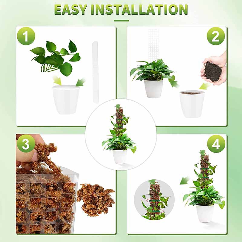 24/36/48 インチつる植物水苔柱屋内プラスチック苔ポー - Sphagnum Moss Dry のレビューと価格
