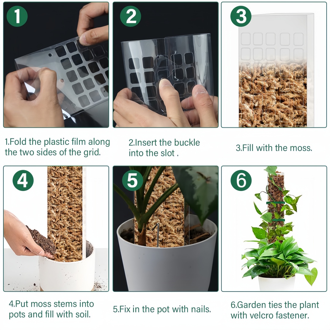 苔ポールプラスチック植物スタンド屋内登山植物ガーディアン家庭 - Sphagnum Moss Dry のレビューと価格
