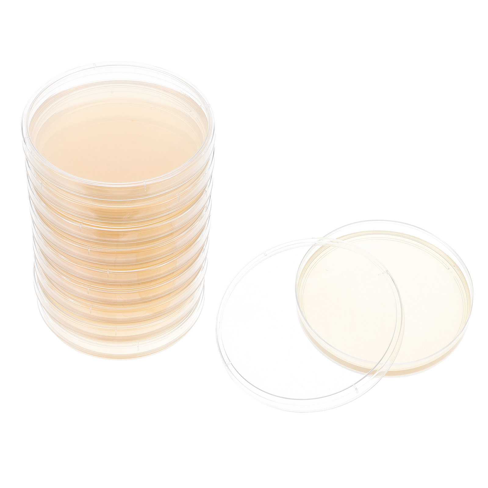 10個入り栄養培地プレート、科学展示会プロジェクト保管用プレ - Agar Tissue Culture のレビューと価格