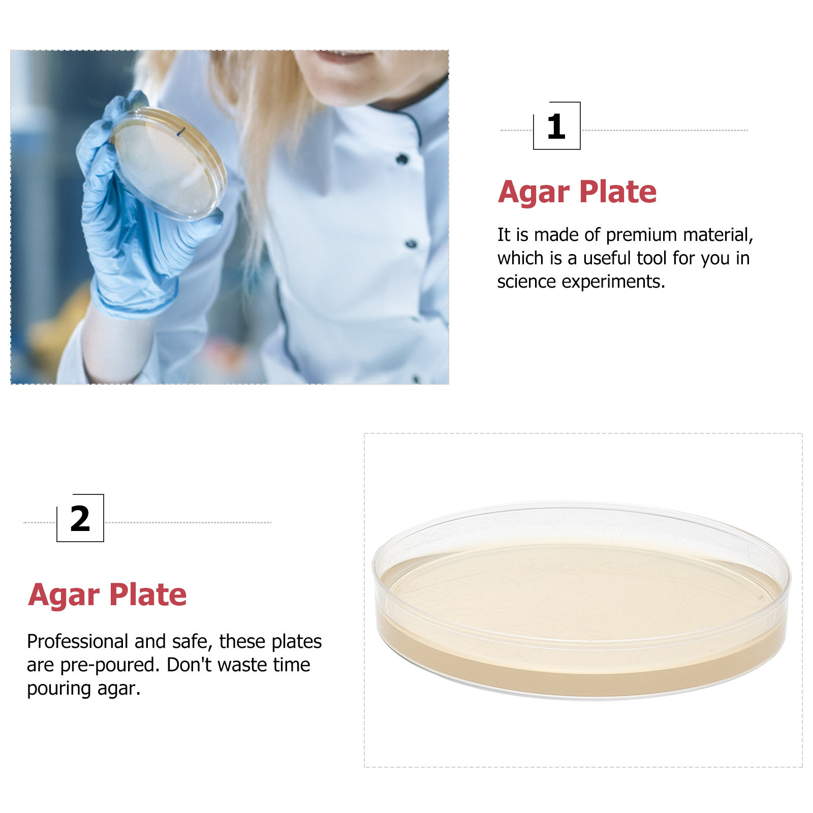 10個入り栄養培地プレート、科学展示会プロジェクト保管用プレ - Agar Tissue Culture のレビューと価格