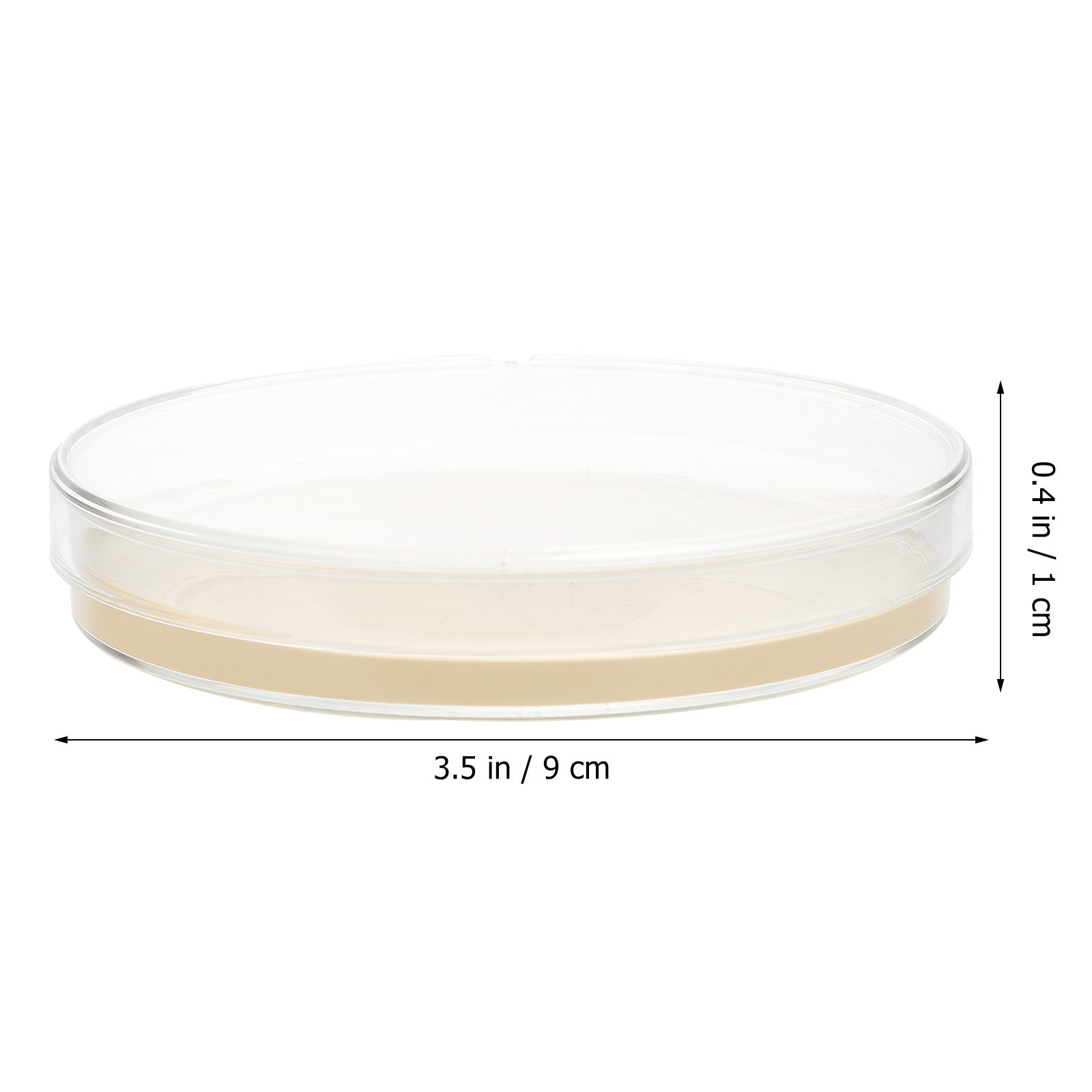 10個入り栄養培地プレート、科学展示会プロジェクト保管用プレ - Agar Tissue Culture のレビューと価格