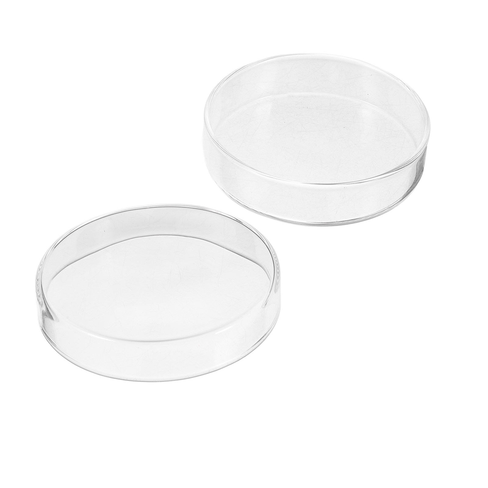 1セットの厚いガラス製ペトリ皿、オートクレーブ滅菌可能な皿、 - Agar Tissue Culture のレビューと価格