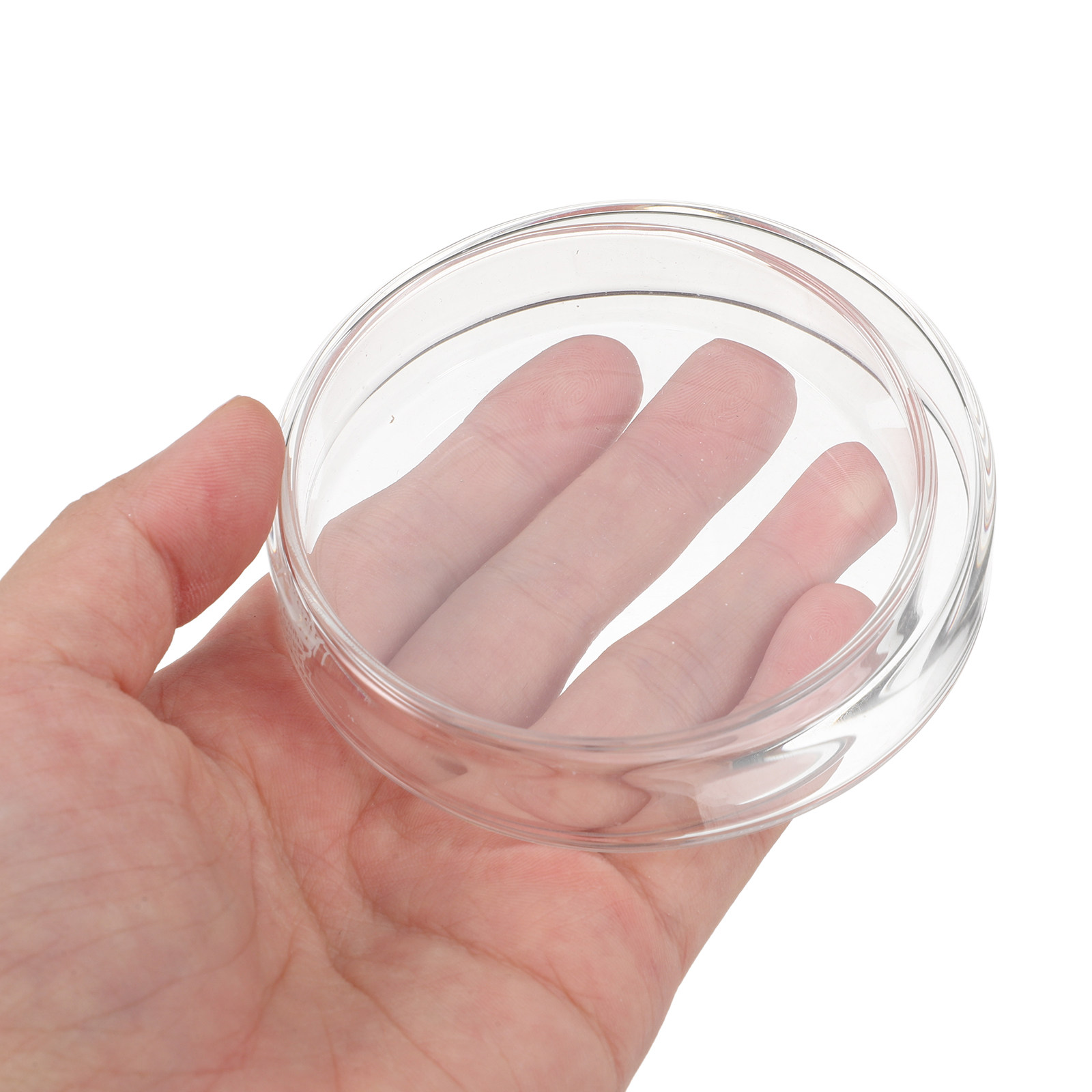 1セットの厚いガラス製ペトリ皿、オートクレーブ滅菌可能な皿、 - Agar Tissue Culture のレビューと価格