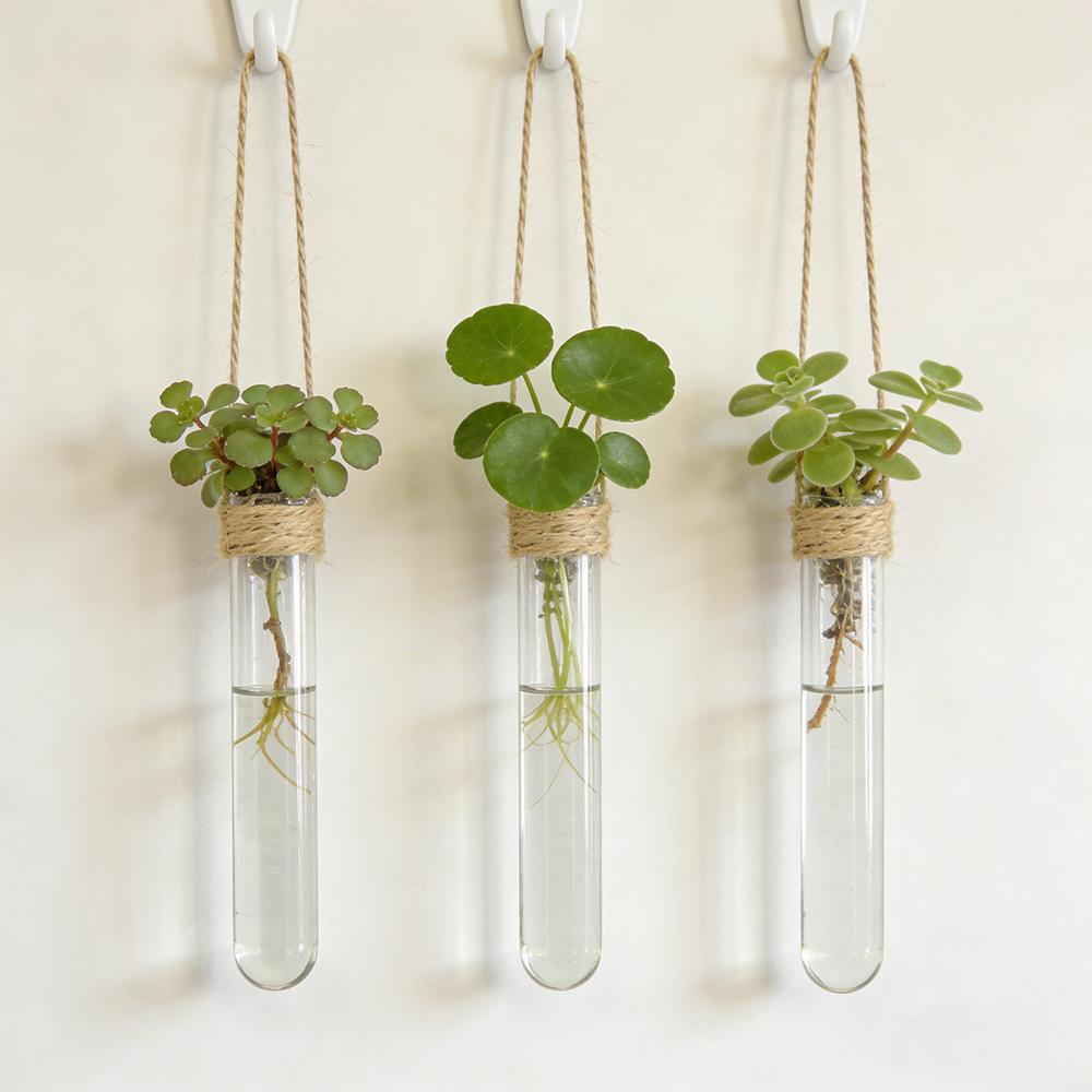 水耕栽培フラワーベース壁掛け試験管花瓶水耕栽培ホームオフィス - Propagation Station Vase のレビューと価格