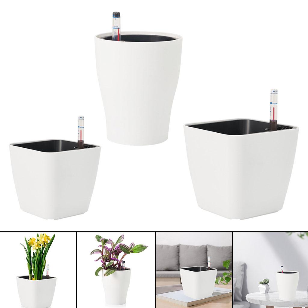 自動給水式植木鉢、白いプラスチック製、庭のハーブ用 - Self Watering Insert のレビューと価格
