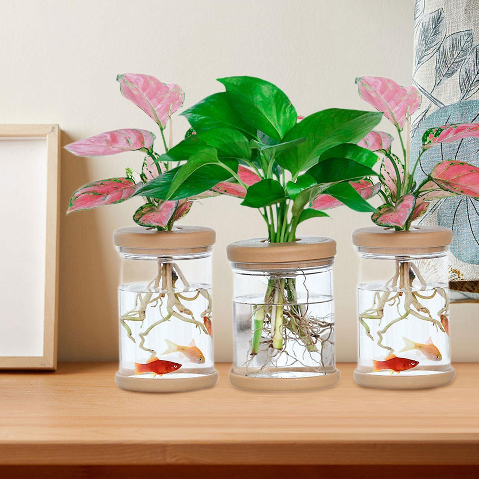3 個の水耕栽培花瓶装飾花瓶農家バルコニーキャビネット用 - Propagation Station Vase のレビューと価格