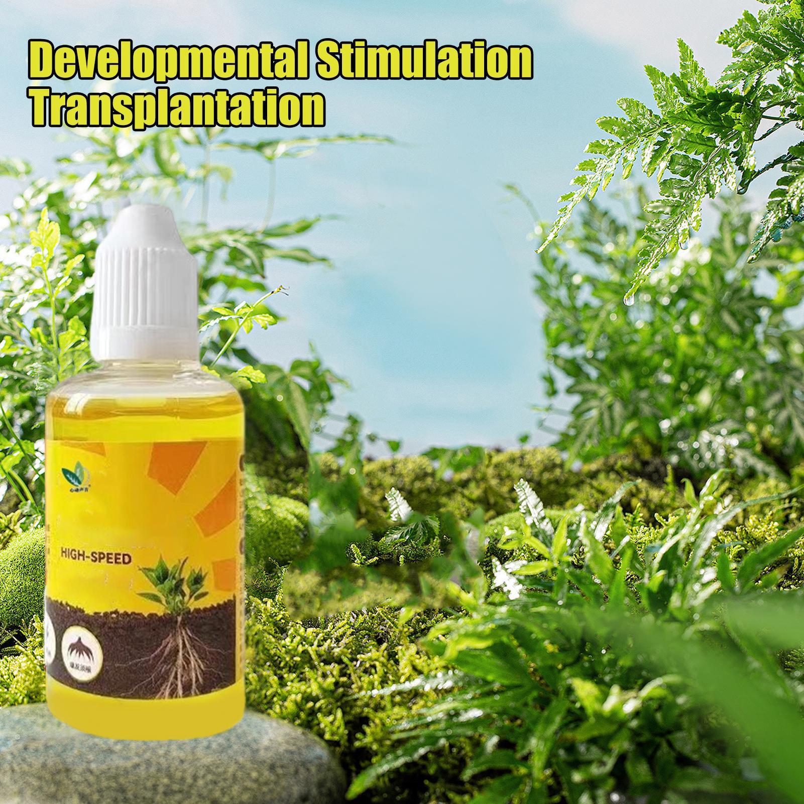 50 ミリリットル植物発根刺激剤液体植物根ブースター液体急速 - Rooting Hormone Powder のレビューと価格