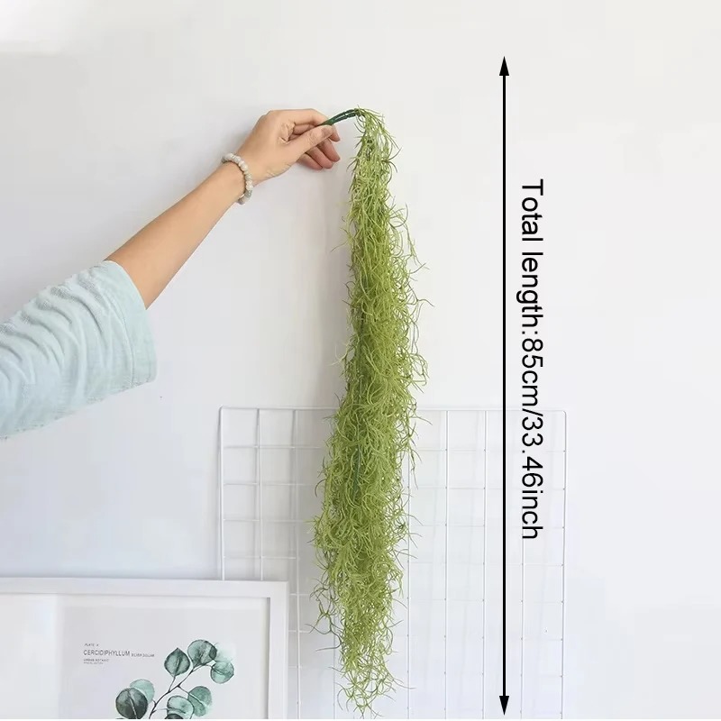1/3/5個入り エアーグラス グリーンプラント ロングバイ - Sphagnum Moss Dry のレビューと価格