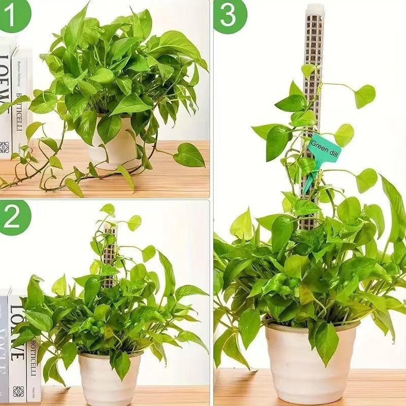 1/2/3個入り 自動給水モス支柱 積み重ね可能な植物スタン - Sphagnum Moss Dry のレビューと価格
