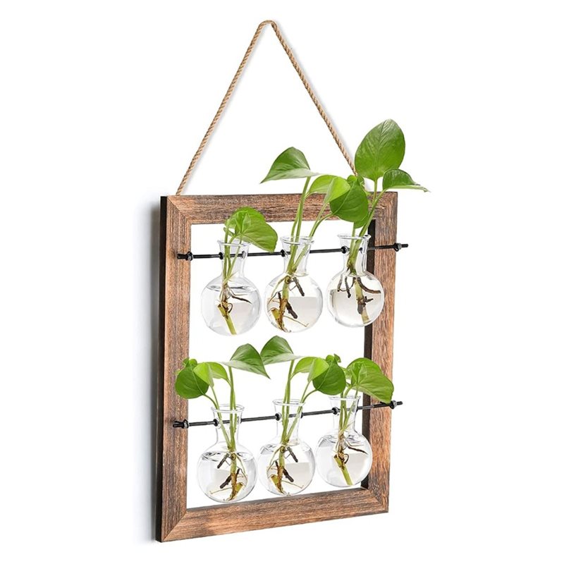 ABLN-水耕栽培植物用壁掛けプランター花瓶、壁掛け繁殖ステ - Propagation Station Vase のレビューと価格