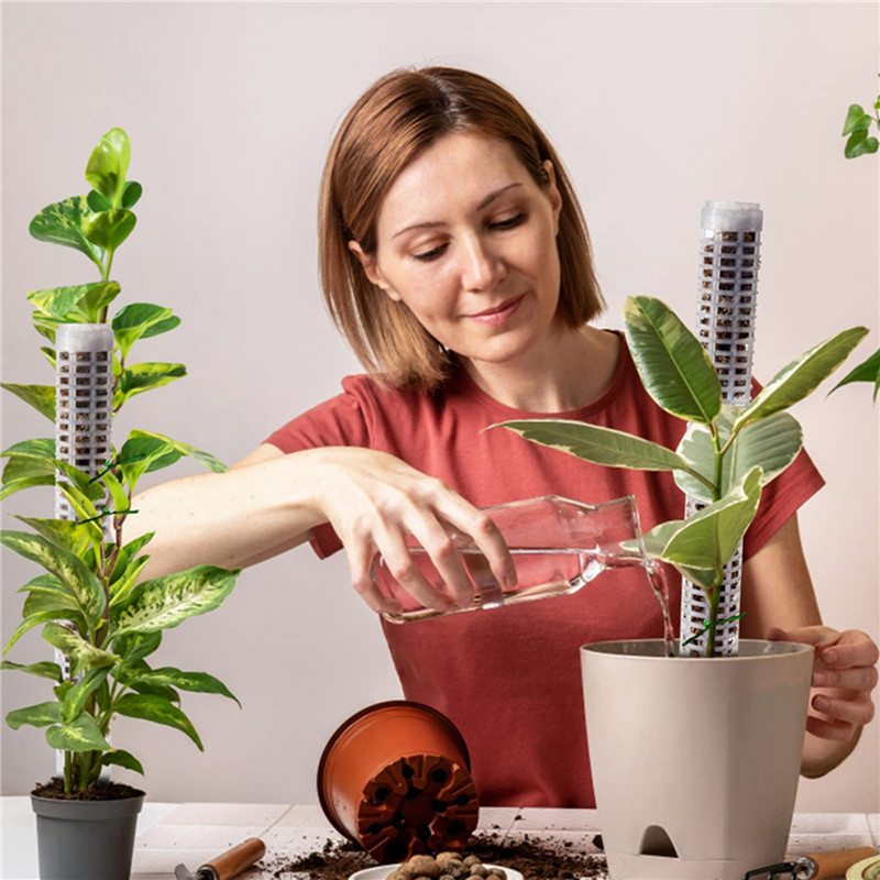 保水性のあるミズゴケモスの棒、植物のつる性植物サポートスティ - Sphagnum Moss Dry のレビューと価格