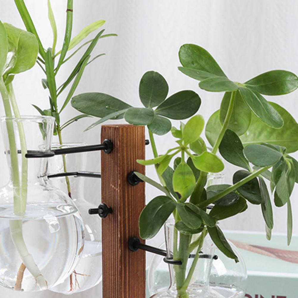 1 セット 10*25 センチメートル植物繁殖ステーション  - Propagation Station Vase のレビューと価格