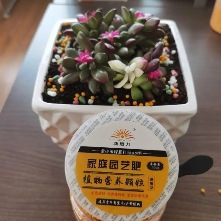 500 グラム汎用 Npk 複合肥料有機粒状カラフルな緩効性 - Rooting Hormone Powder のレビューと価格