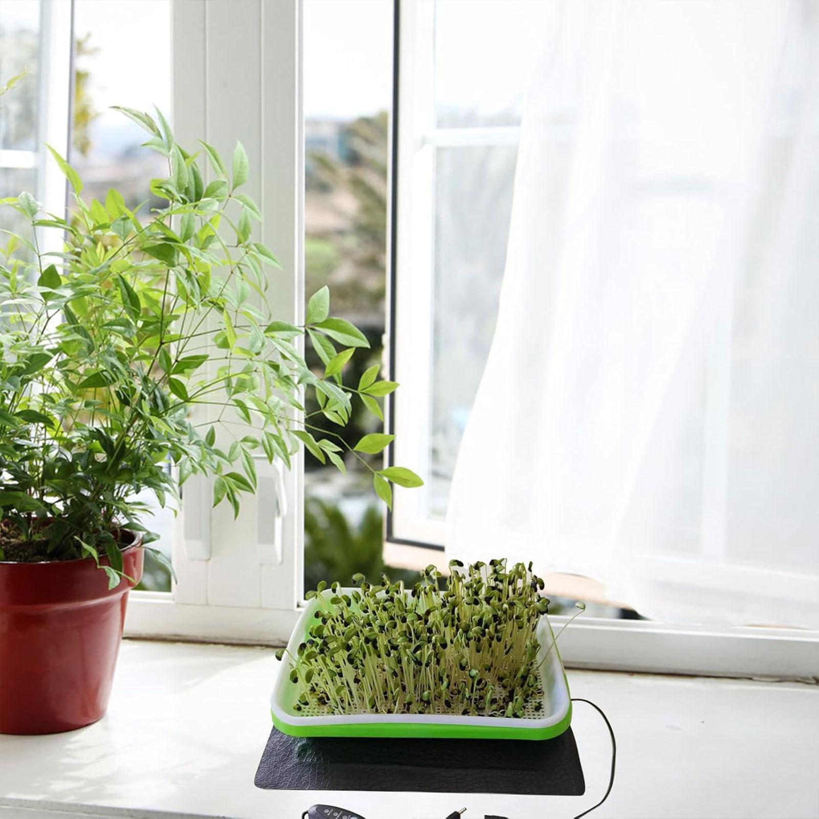 水耕栽培用ヒートマット、苗の育成用、防水、温度調節可能なパッ - Heat Mat Seedling のレビューと価格