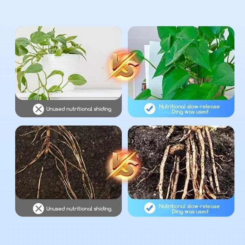 500g 高強度発根ホルモン粉末 速効性植物根刺激剤 挿し木 - Rooting Hormone Powder のレビューと価格