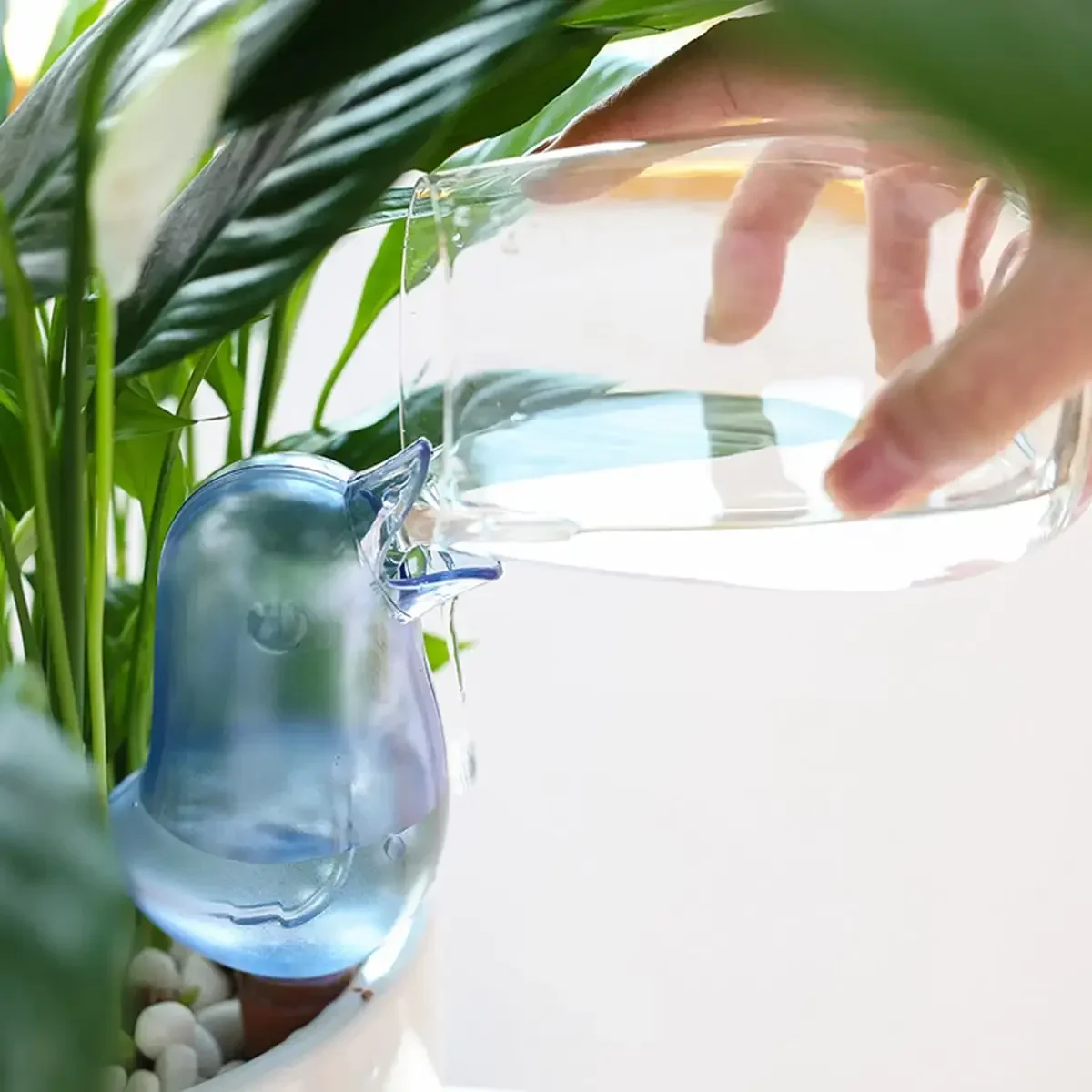 高品質自動花給水器植物給水器自己散水水風船鳥の形の手吹きプラ - Self Watering Insert のレビューと価格