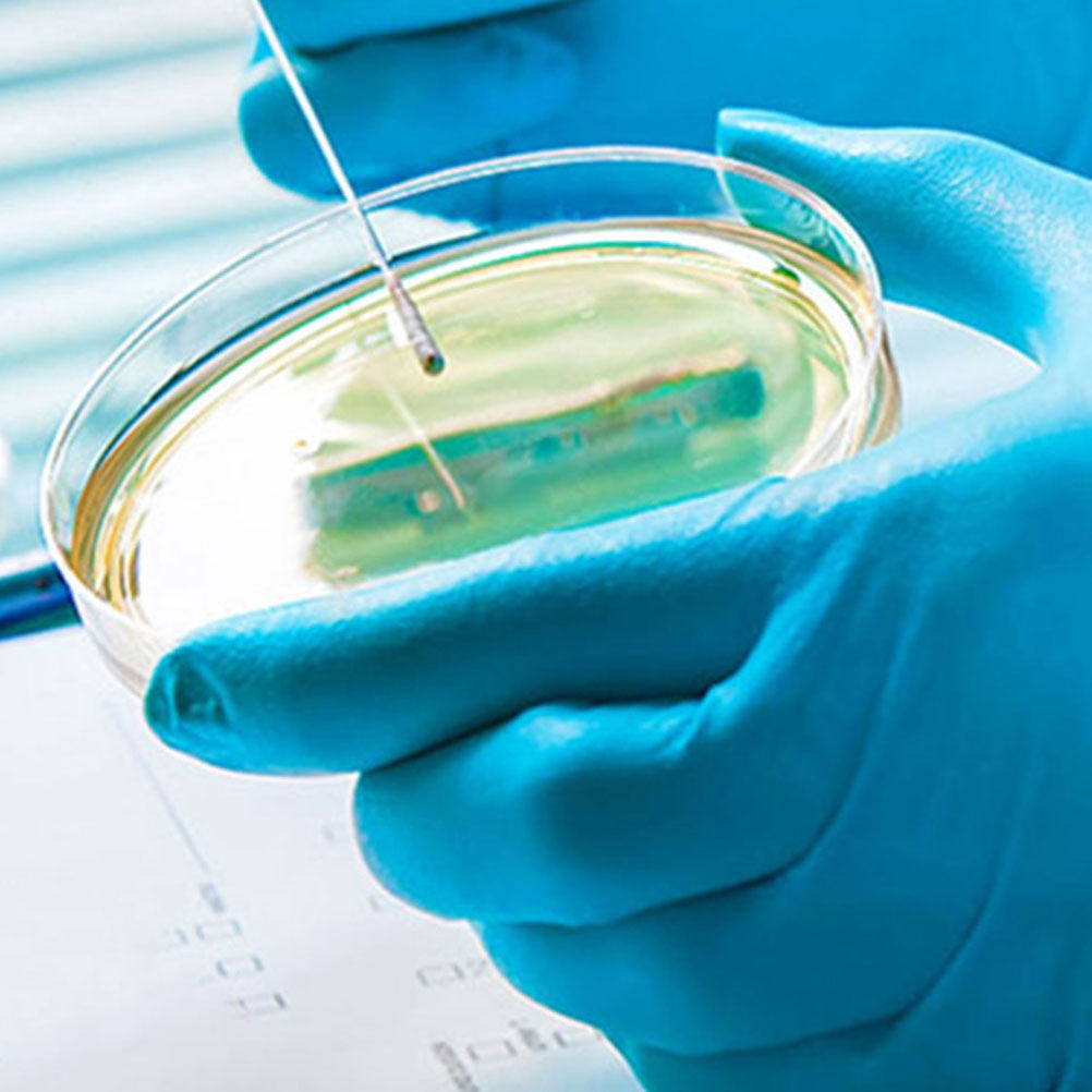10 個のプラスチックペトリ皿透明クリア 100 ミリメート - Agar Tissue Culture のレビューと価格