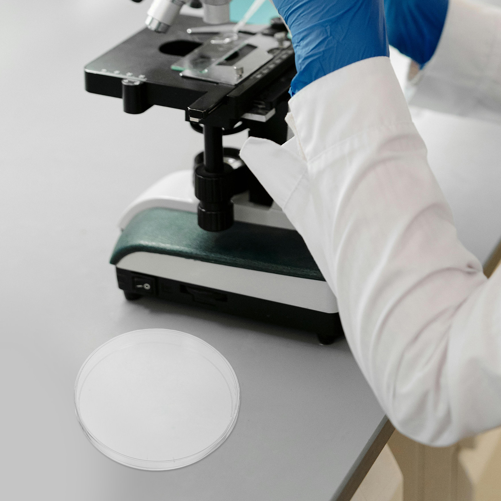 10個入りラボ用ペトリ皿 透明プラスチックペトリプレート 直 - Agar Tissue Culture のレビューと価格