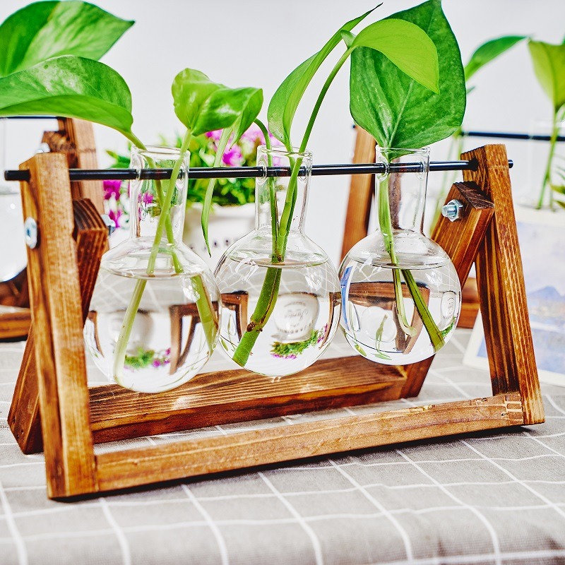 卓上ガラスプランター繁殖ステーション、植物用木製ラックテラリ - Propagation Station Vase のレビューと価格
