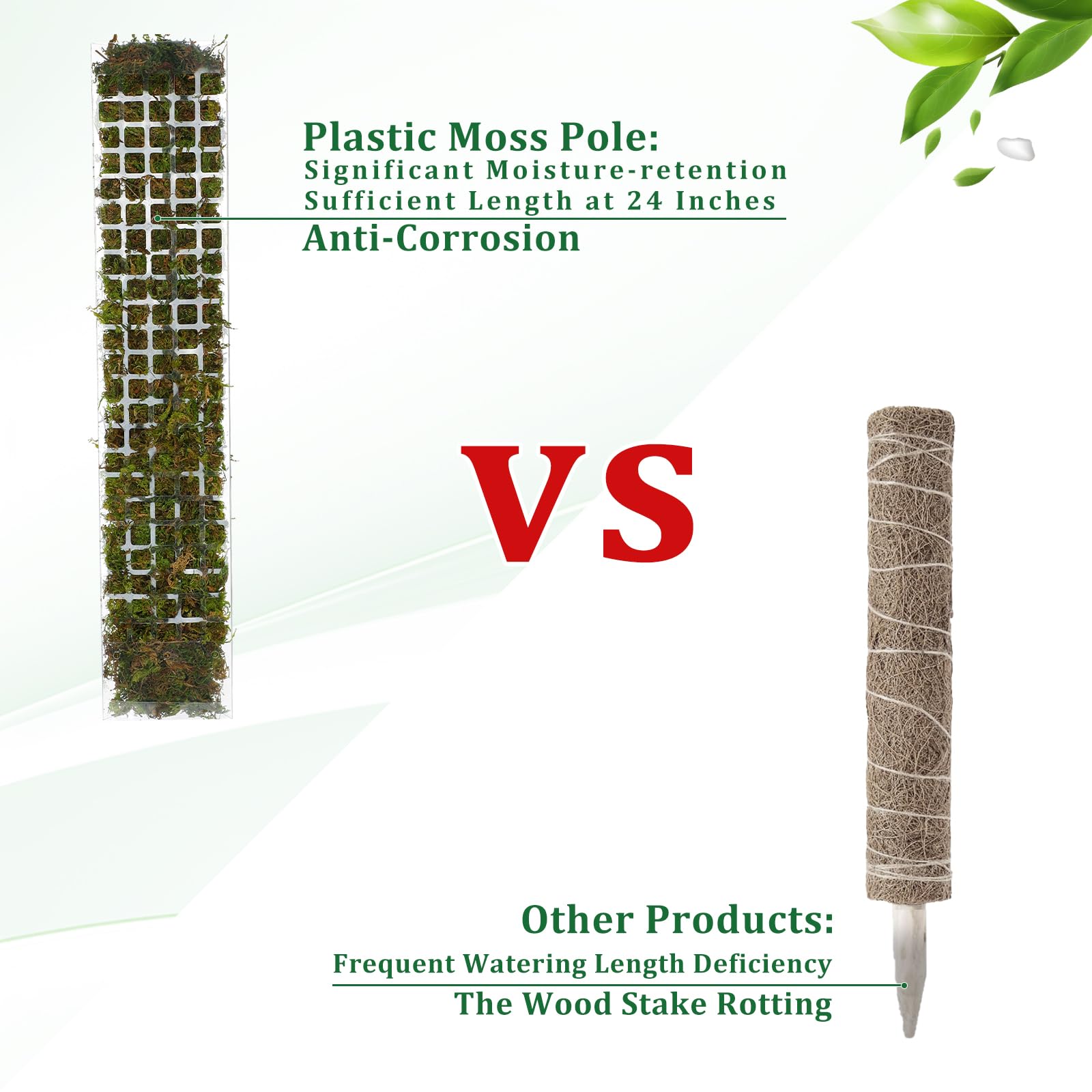 プラスチック製のムスポールプラントスタンド、屋内クライミング - Sphagnum Moss Dry のレビューと価格