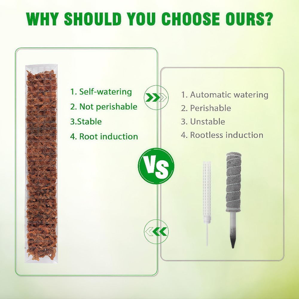 モススティック プラスチック製 植物スタンド 室内用 つる性 - Sphagnum Moss Dry のレビューと価格