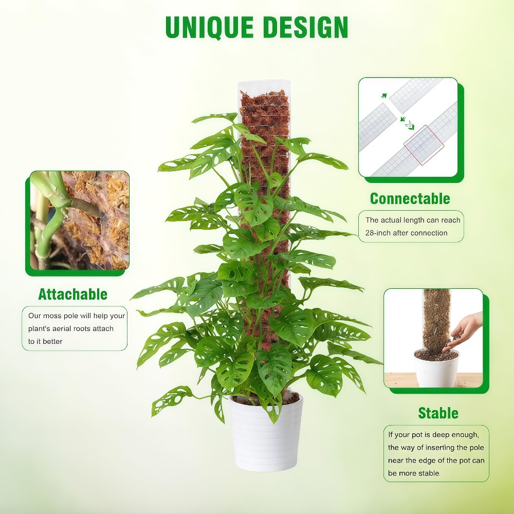 モススティック プラスチック製 植物スタンド 室内用 つる性 - Sphagnum Moss Dry のレビューと価格
